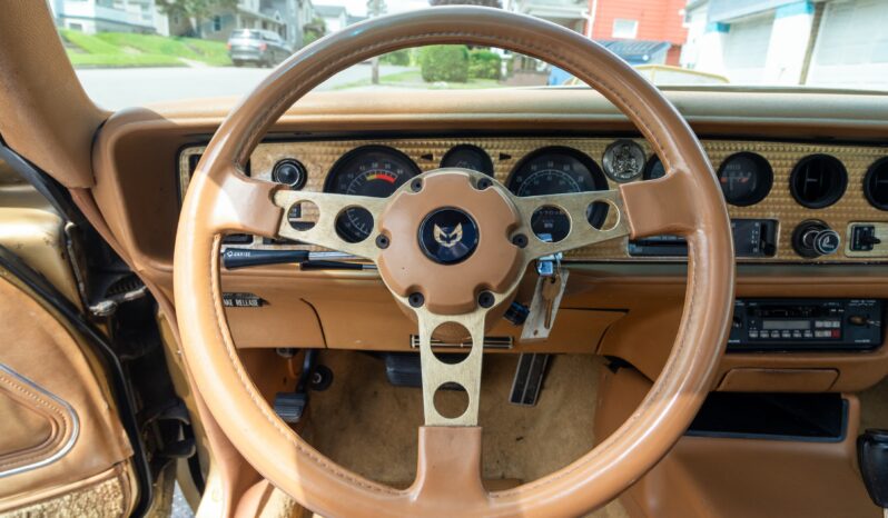 								1978 Pontiac Firebird Trans Am Gold Special Edition full									