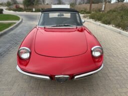 1967 Alfa Romeo 1600 Spider Duetto