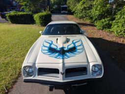 										1974 Pontiac Firebird Trans Am 455 full									