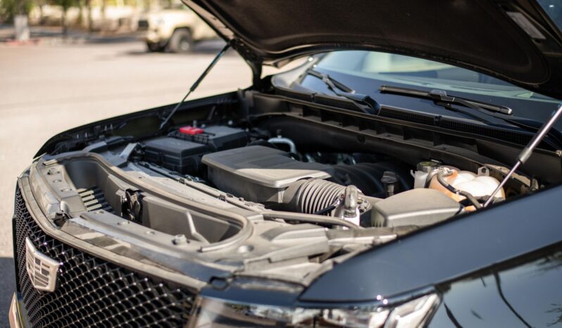 								2023 Cadillac Escalade 4WD Sport full									
