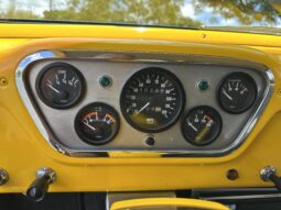 										1954 Ford F-100 full									