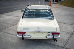 										1965 Mercedes-Benz 230SL full									