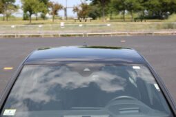 										2023 Volkswagen Golf R 20th Anniversary Edition full									