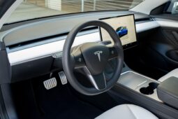										2022 Tesla Model 3 Performance full									